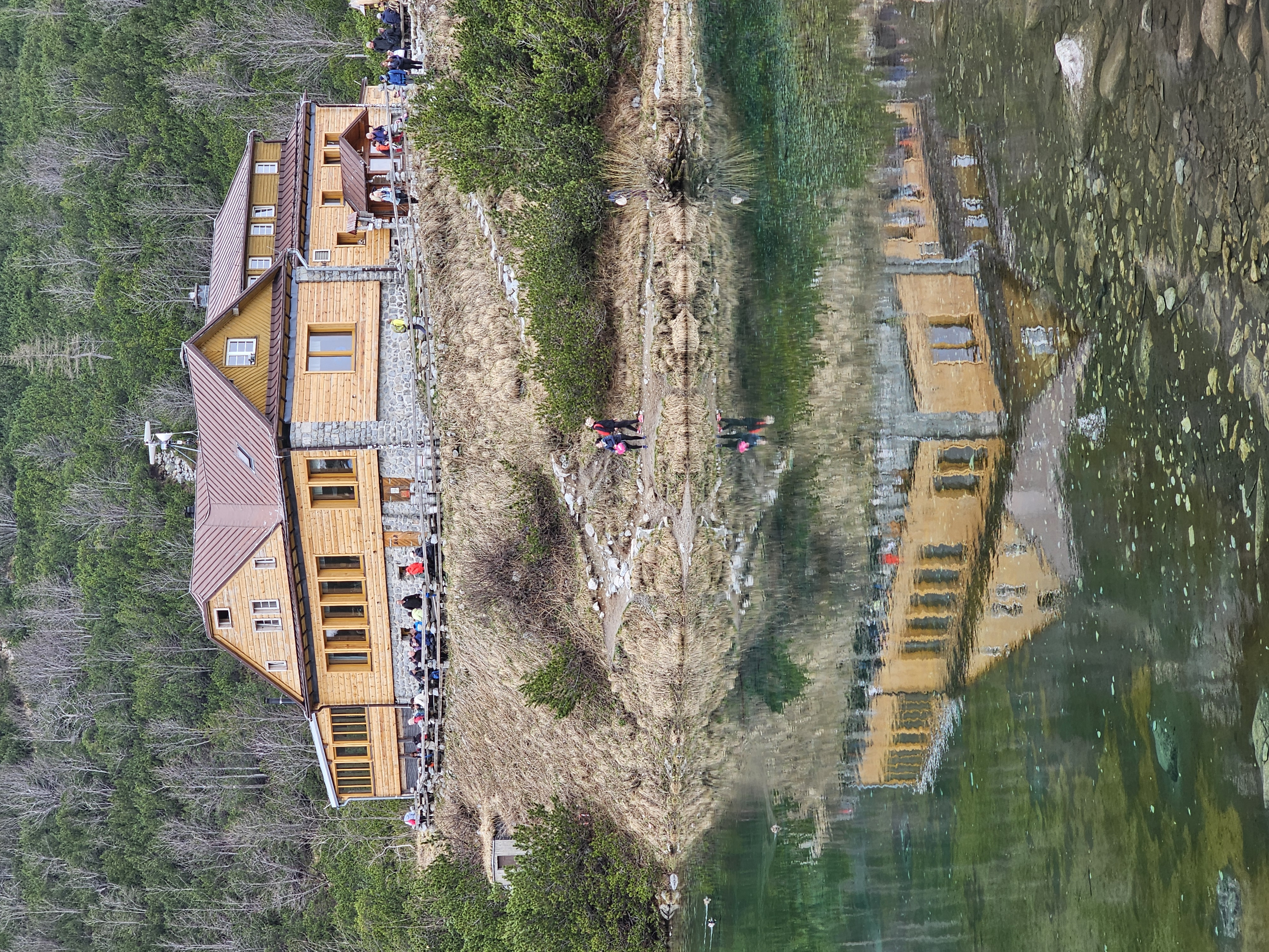 Normal-size image